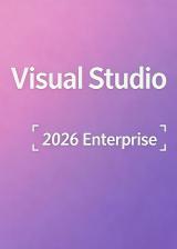 Official MS Visual Studio 2026 Enterprise CD Key Global